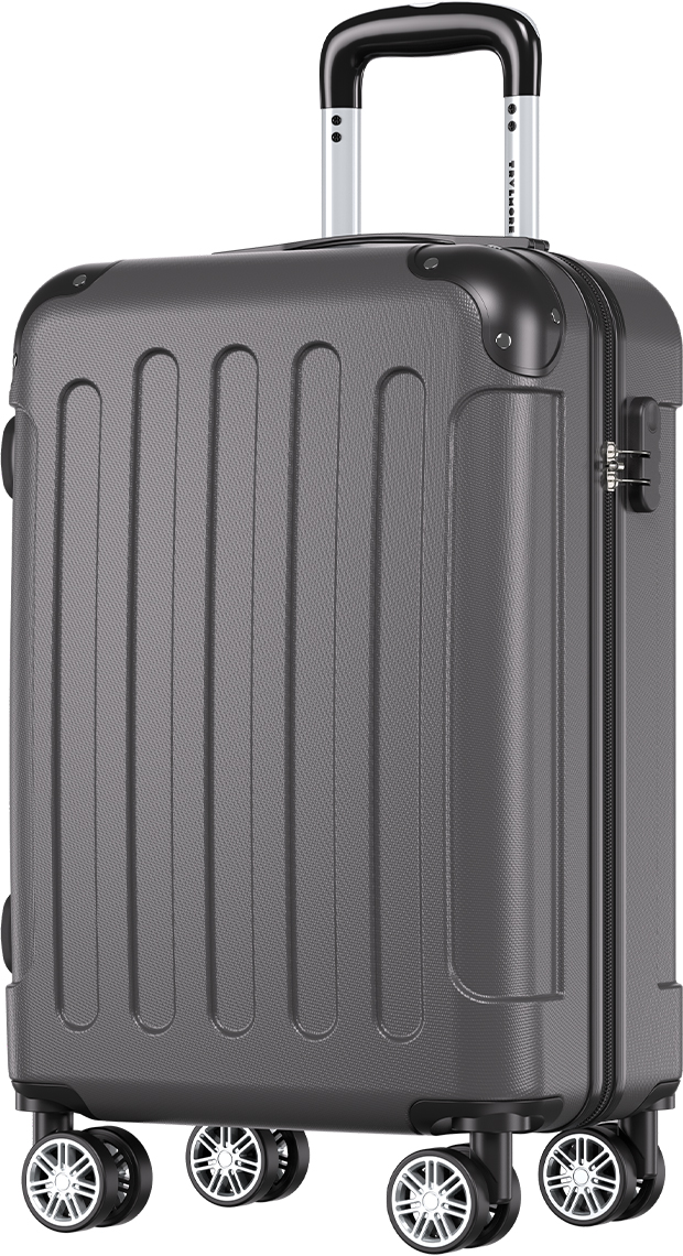 Handbagage Verticaal Verticaal Koffer Donkergrijs